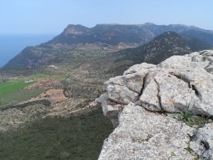 Vista de la plana de Valldemossa des de la Mola de Son Ferrandell.