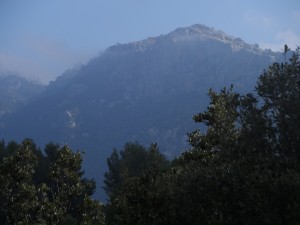 Puig de sa Font (966m) des del cim de na Fàtima.