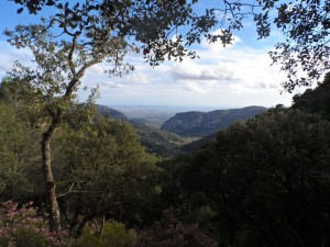 Comellar des Pouet. Amb la visió emblemàtica de les muntanyes que formen s'Estret (Na fàtima, a l'esquerra, i la Mola de Son Pacs, a la dreta) i la badia de Palma al fons.
